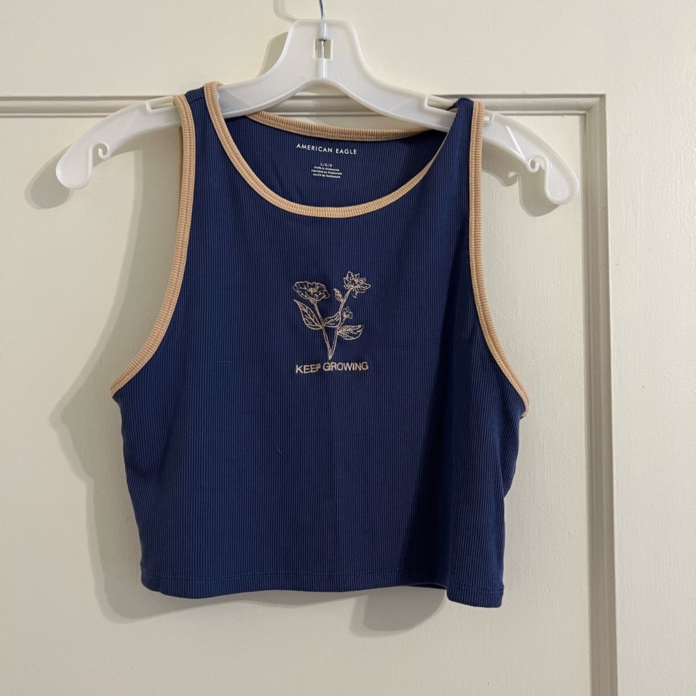 American Eagle embroidered crop top